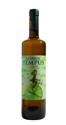 Adhuc Tempus Ribeiro